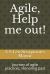 Agile, Help Me Out! : Journey of Agile Practices, Honoring Past