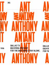 N1 : For the Ones Who Stray Alone