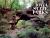 Iowa State Parks : A Century of Stewardship, 1920-2020