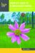 Complete Guide to Florida Wildflowers : Over 600 Wildflowers of the Sunshine State Including National Parks, Forests, Preserves, and More Than 160 State Parks