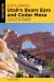 Exploring Utah's Bears Ears and Cedar Mesa