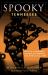 Spooky Tennessee : Tales of Hauntings, Strange Happenings, and Other Local Lore