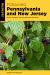 Foraging Pennsylvania and New Jersey : Finding, Identifying, and Preparing Edible Wild Foods