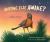 Anyone Else Awake? a Dawn Chorus Hb : Anyone Else Awake?
