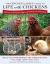 The Chicken Ladies' Guide to Life with Chickens : The Joys of Delicious Eggs and Raising a Healthy Flock