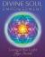 Divine Soul Empowerment : Living in the Light