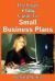 The Smart and Easy Guide to Small Business Plans: How to Write a Successful Small Business Plan for Your Startup Company