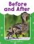Before and after