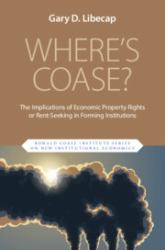 Where's Coase? : The Implications of Economic Property Rights or Rent-Seeking in Forming Institutions
