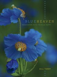 Blue Heaven : Encounters with the Blue Poppy