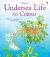 Undersea Life to Colour Undersea Life to Colour