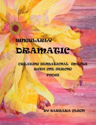 Singularly Dramatic : Creating Sensational Images with One Strong Focus