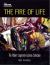 The Fire of Life : The Robert Legorreta-Cyclona Collection