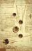 Leonardo Lives : The Codex Leicester and Leonardo da Vinci's Legacy of Art and Science