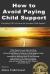 How to Avoid Paying Child Support : Learn How to Get Out of Paying Child Support Legally in the USA! a Must Read for Anyone Struggling with Child Support Payments