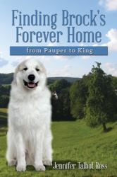 Finding Brock's Forever Home : From Pauper to King