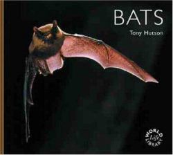 Bats