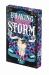 Braving the Storm: Deluxe Limited Edition Braving the Storm: Deluxe Limited Edition