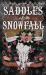 Saddles and Snowfall Saddles and Snowfall