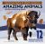 National Parks of North America AMAZING ANIMALS Sticker Painting Book : 12 Super Fun Paintings