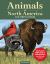 Animals of North America Coloring Book : Color Realistic Wild Animals on Perforated Pages - Bison, Elk, Sheep, and More