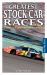 Greatest Stock Car Races : Triumphs and Tragedies of Yesterday and Today
