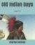 Old Indian Days: Large Print