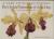 A Very Victorian Passion : The Orchid Paintings of John Day, 1863-1888