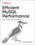 Efficient MySQL Performance : Best Practices and Techniques