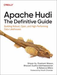 Apache Hudi: the Definitive Guide : Building Robust, Open, and High-Performing Data Lakehouses