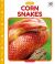 Corn Snakes