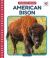 American Bison