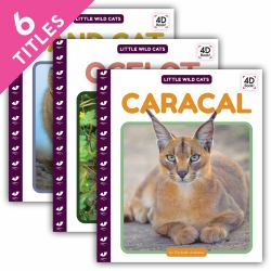 Little Wild Cats (Set)