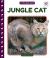 Jungle Cat Jungle Cat