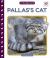 Pallas's Cat Pallas's Cat