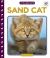 Sand Cat Sand Cat