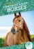 Fun Facts about Horses
