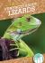 Fun Facts about Lizards