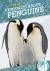Fun Facts about Penguins