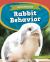 Rabbit Behavior