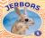 Jerboas