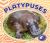 Platypuses