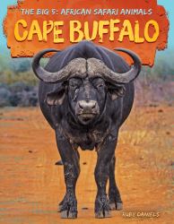 Cape Buffalo