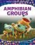 Amphibian Groups