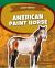 American Paint Horse