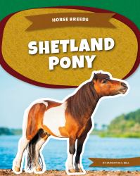 Shetland Pony