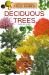 Deciduous Trees