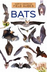 Bats