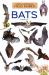 Bats