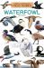 Waterfowl